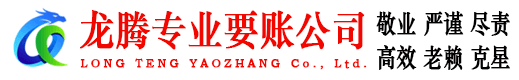 龙海收账公司